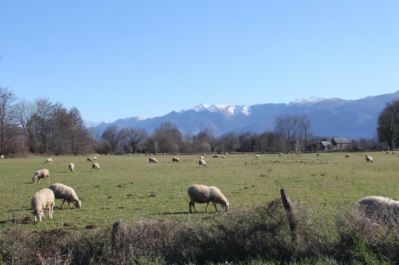 Gites L'Escargot Bleu Oloron-Sainte-Marie Exteriör bild